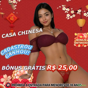 Sistema de Segurança Avançado 204win - Criptografia e Proteção
